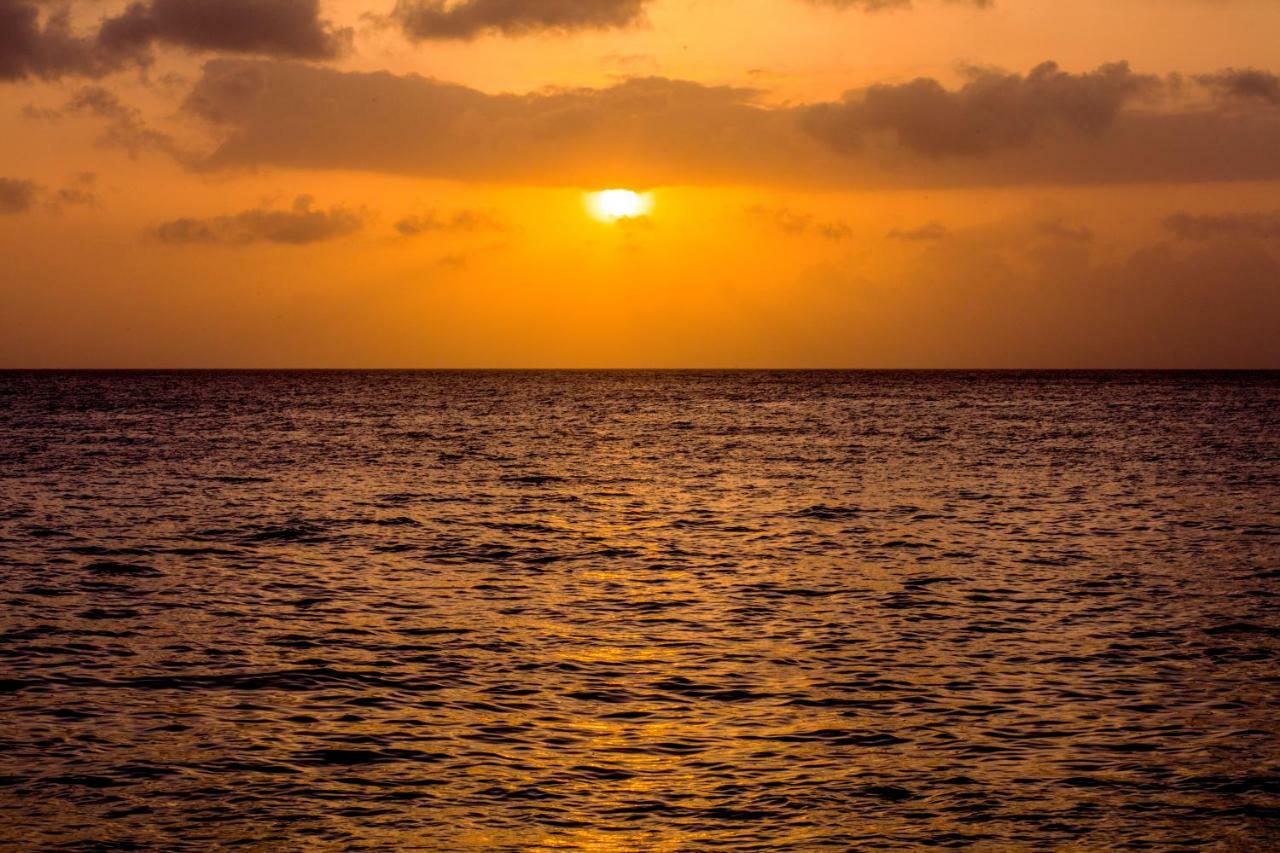 Solare Sai Ecohotel (Adults Only) San Andrés Exterior foto